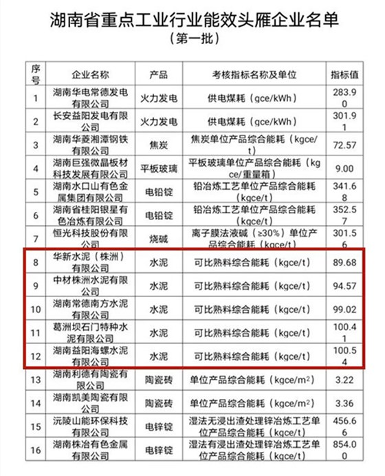 第一批能效&ldquo;頭雁&rdquo;企業(yè)