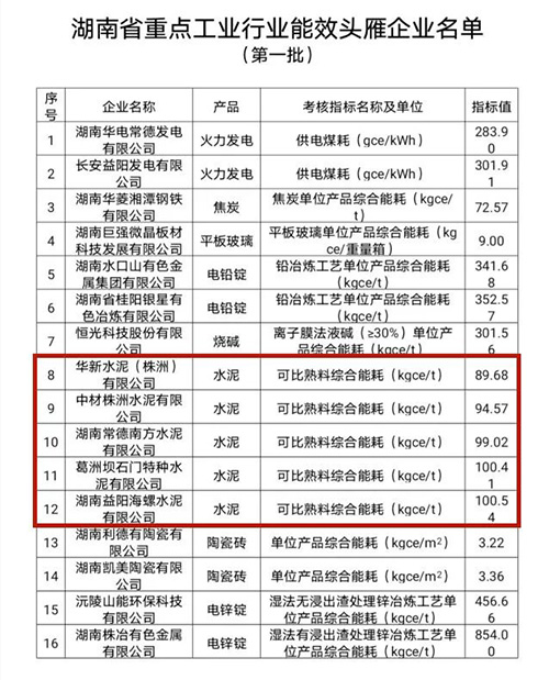 第一批能效&ldquo;頭雁&rdquo;企業(yè)