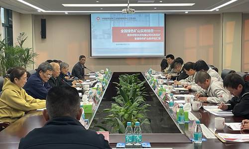 專家組一行實地察看公司綠色礦山建設(shè)情況
