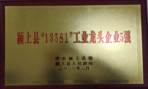 13581&rdquo;工業(yè)龍頭企業(yè)5強