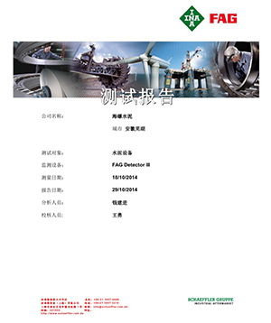 安徽蕪湖海螺水泥設(shè)備狀態(tài)監(jiān)測報告